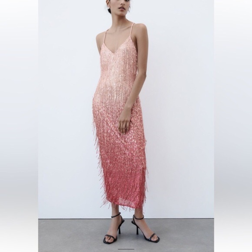 Elegant Pink Sequin and fringe Dress